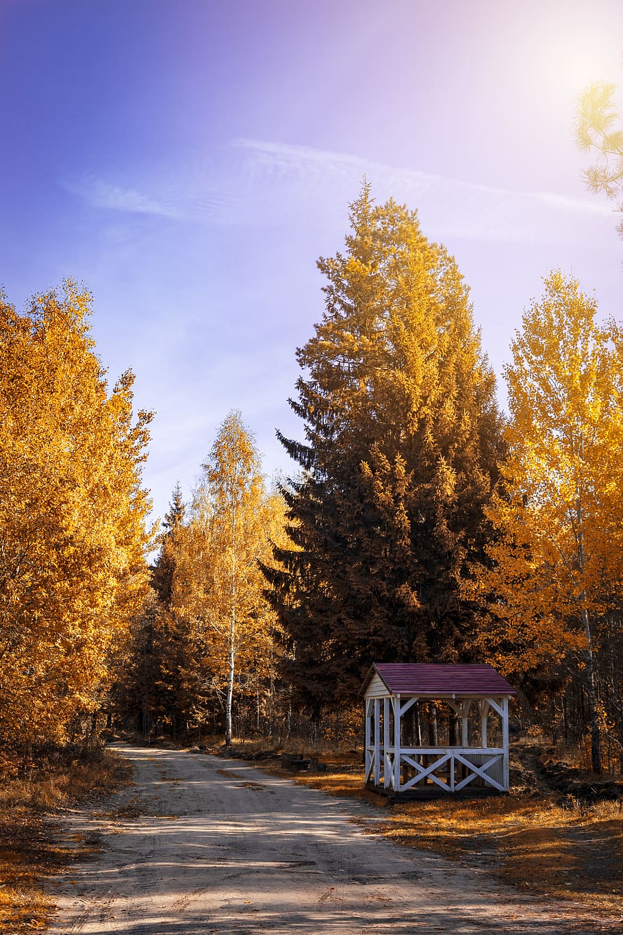 Photo of a Wooden Shed, bright, daylight, environment, nature HD wallpaper