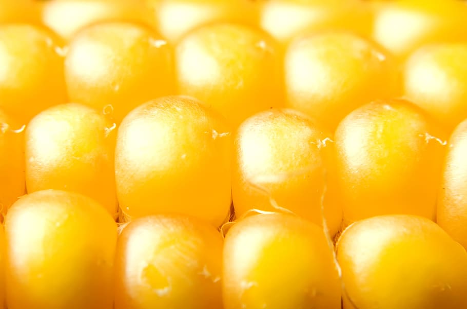 close-up, closeup, diet, dieting, eating, food, fresh, freshness HD wallpaper