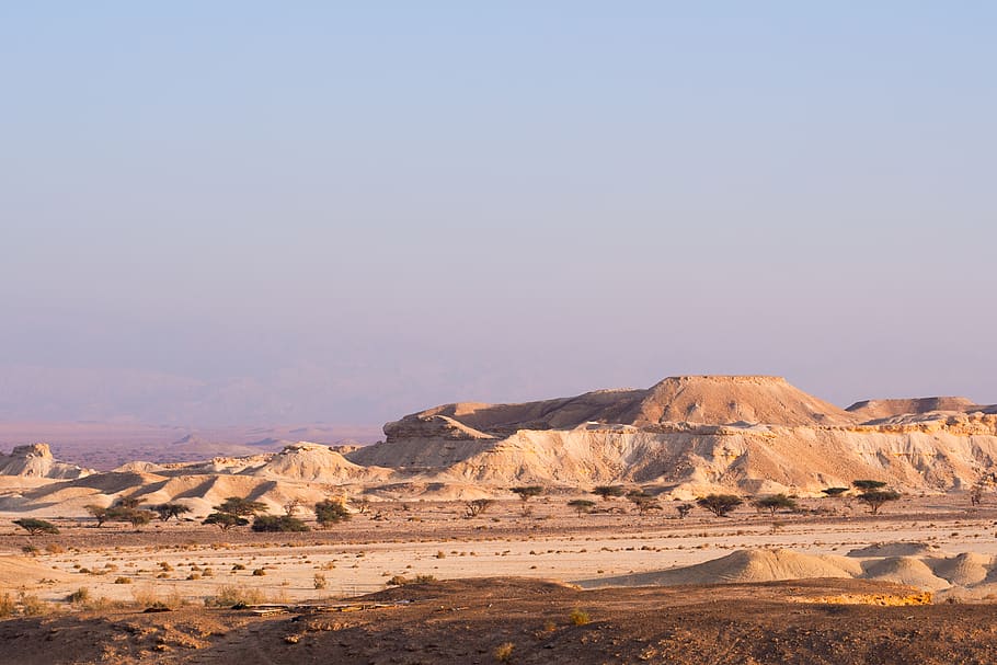 israel, tzofar, landscape, sand, dust, arava, hills, shrub, HD wallpaper