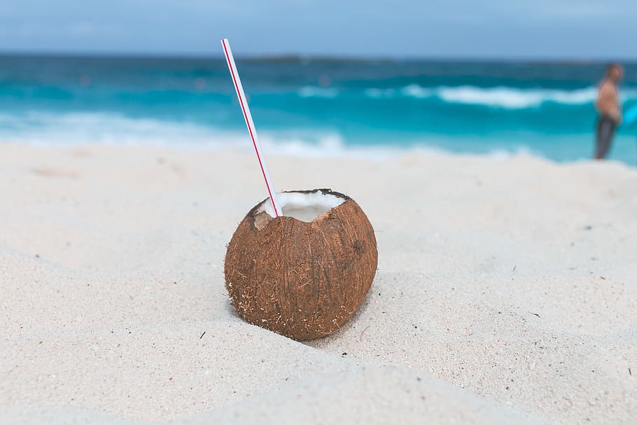 Brown Coconut on Sand, beach, blurred background, close-up, coast, HD wallpaper