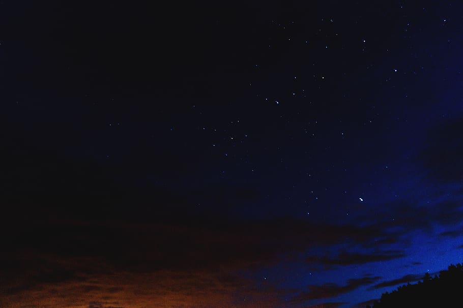 trees, forest, night, blue, star, long exposure, cloud, star - space HD wallpaper