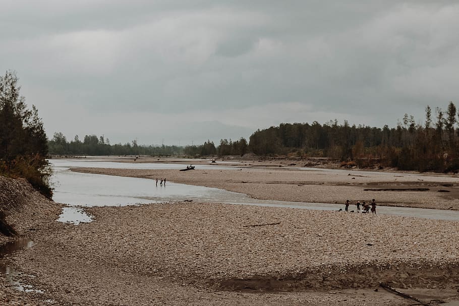 river passing on sand surrounded by trees during daytime, ground HD wallpaper