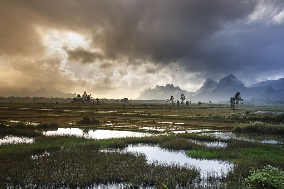 Green Field Under Black Cloud, clouds, countryside, daylight HD wallpaper