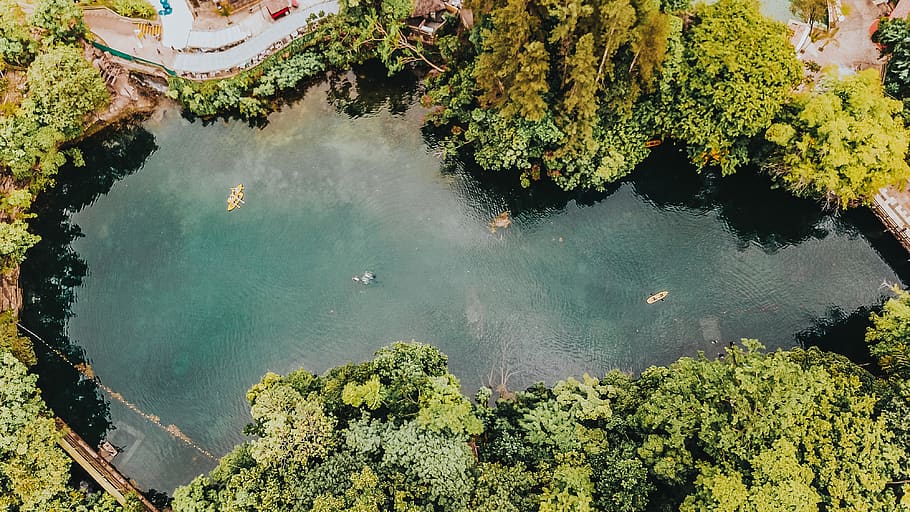 trees around clear lagoon, nature, vegetation, plant, land, outdoors HD wallpaper