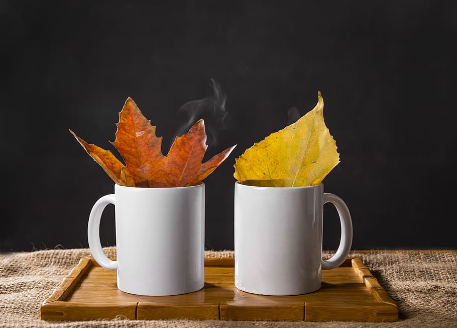 two white ceramic mug with leaves, leaf, plant, tree, furniture HD wallpaper