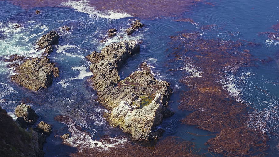 united states, big sur, ocean, seaweed, rough, blue, water, HD wallpaper