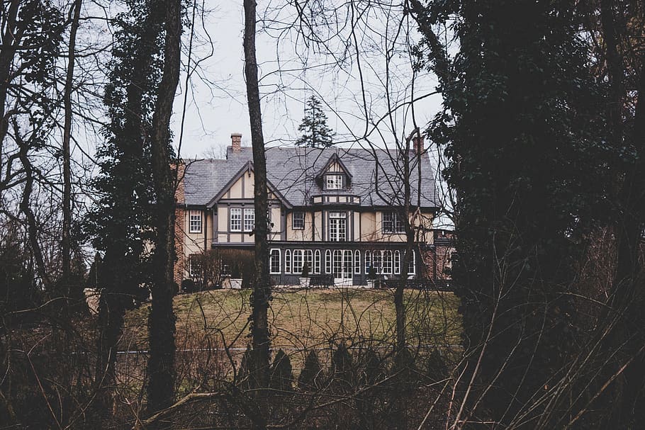 Photography of the House, architecture, exterior, facade, forest HD wallpaper