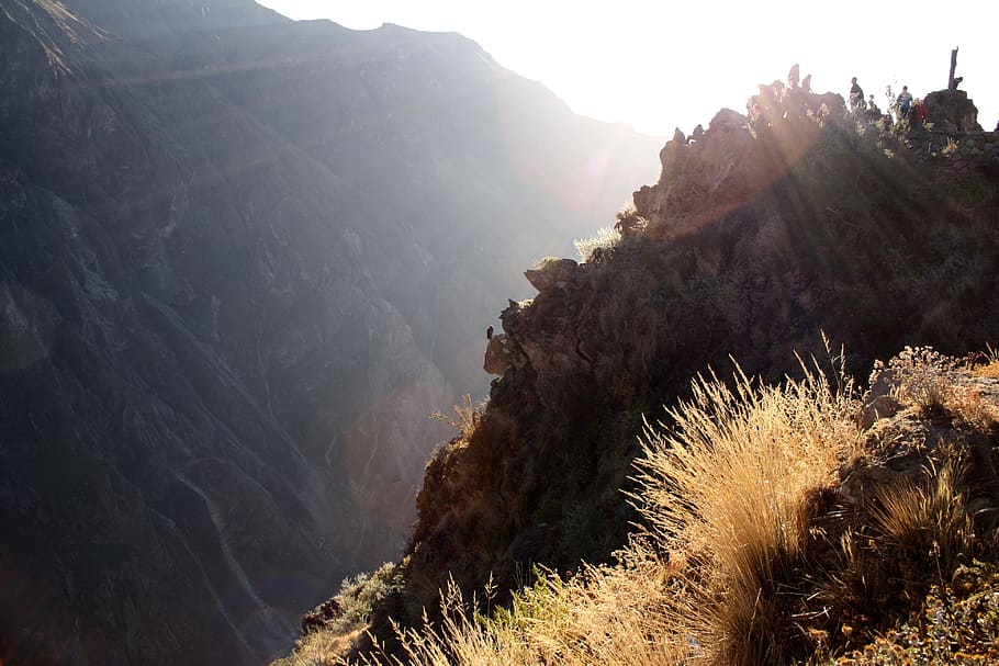 peru, chivay, colca canyon, arequipa, condor, mountain, beauty in nature, HD wallpaper