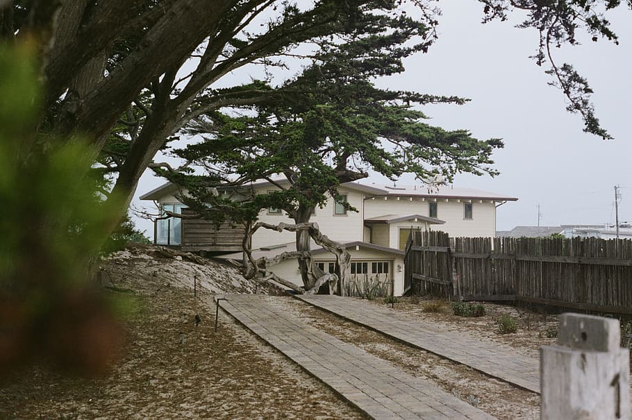 morrow bay, architecture, tree, built structure, building exterior HD wallpaper