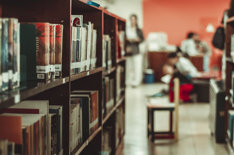 People Near Book Cases, blurred background, bookcase, books, bookshelves, HD wallpaper