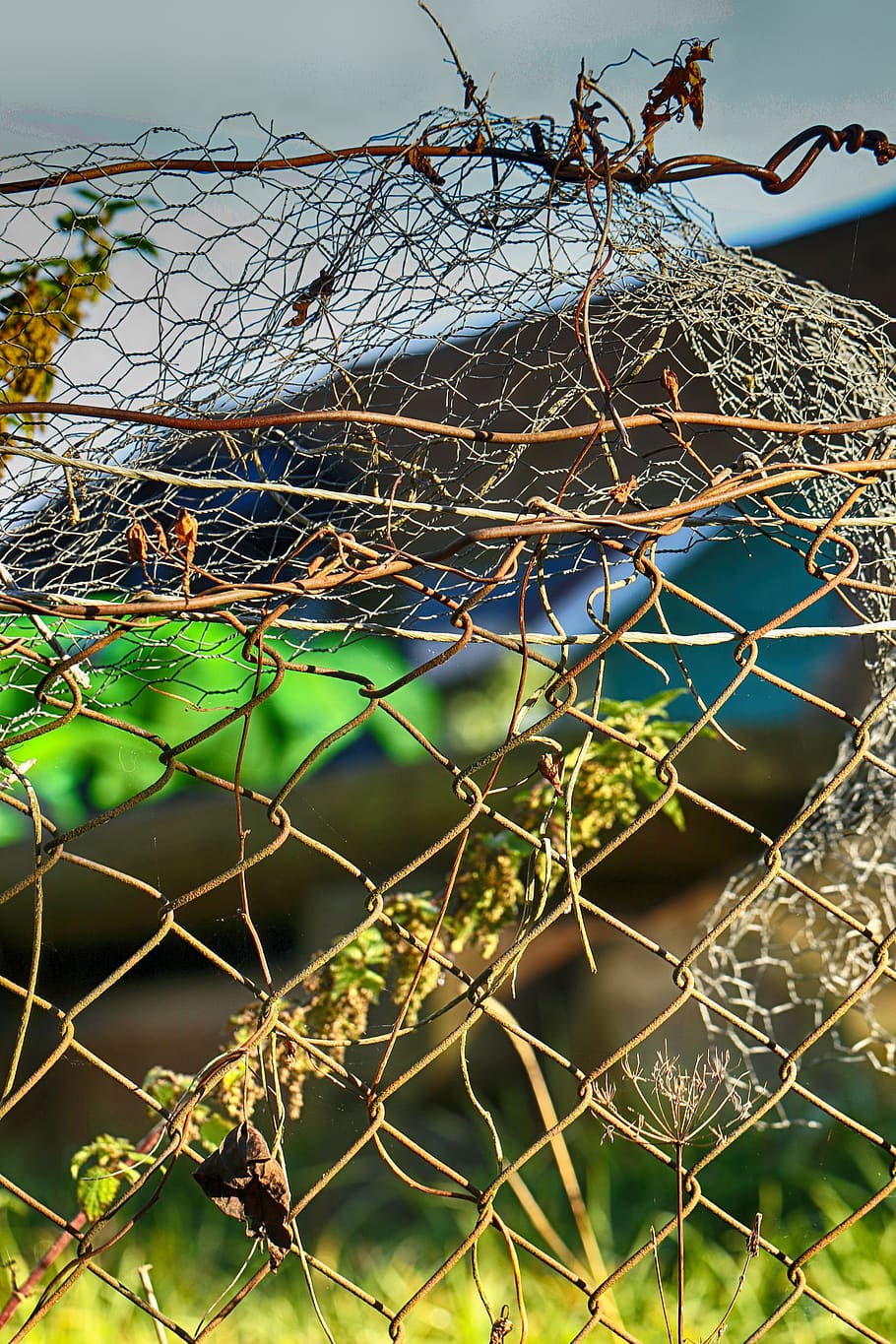 fence, wire, metal, grid, protection, security, safety, boundary HD wallpaper
