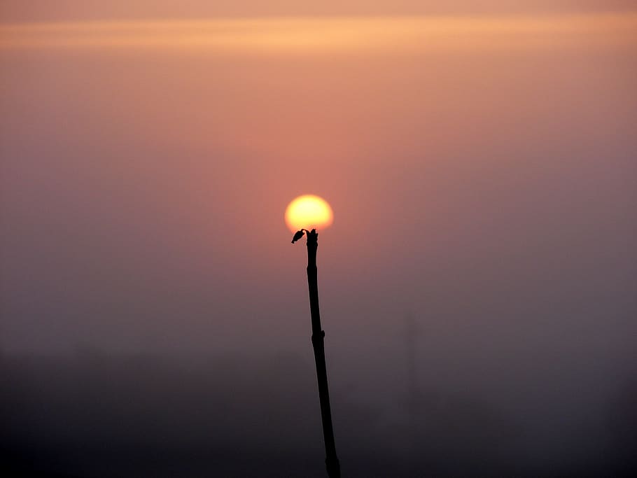 caption, imagination, nature, sun, round, sunset, lighting equipment HD wallpaper
