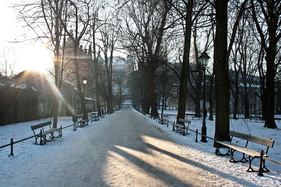 Холодный парк. Краков город реки зимой. Зима два сердца в снегу на скамейке в парке.