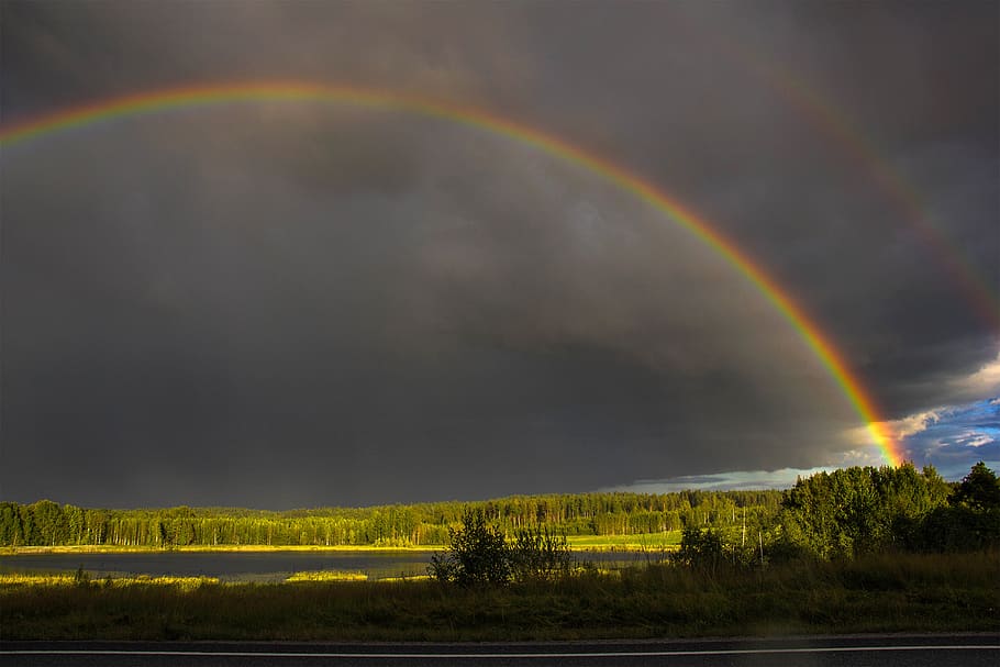 finland, tampere, forest, trees, summer, rain, sunset, rainbow