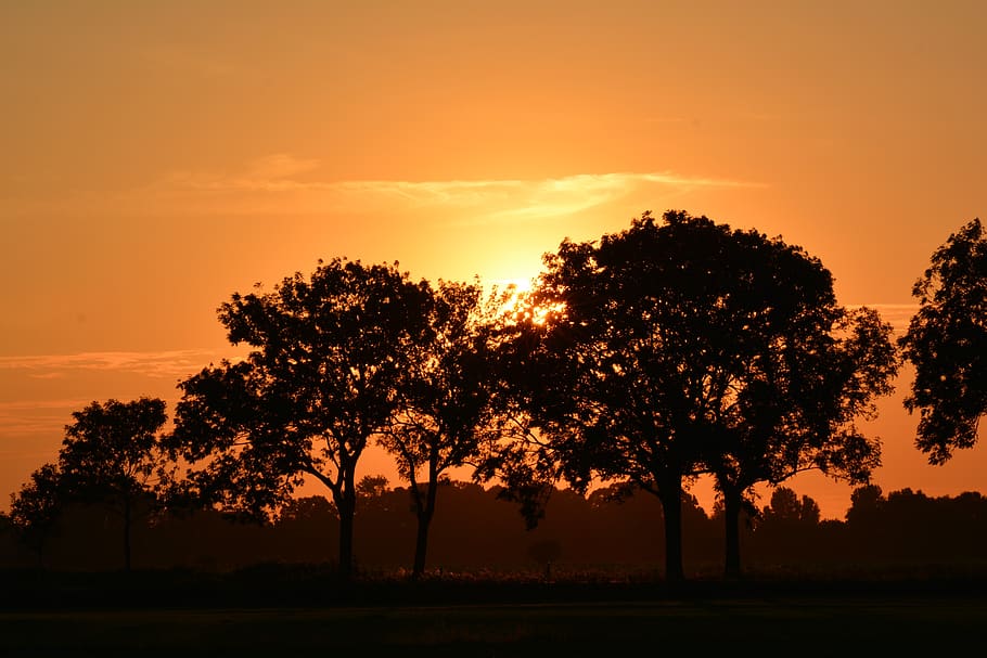 sunset, rheiderland include a, nature, dusk, sunlight, mood HD wallpaper