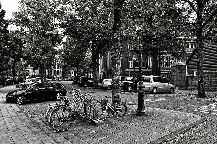 netherlands, amsterdam, mode of transportation, land vehicle HD wallpaper