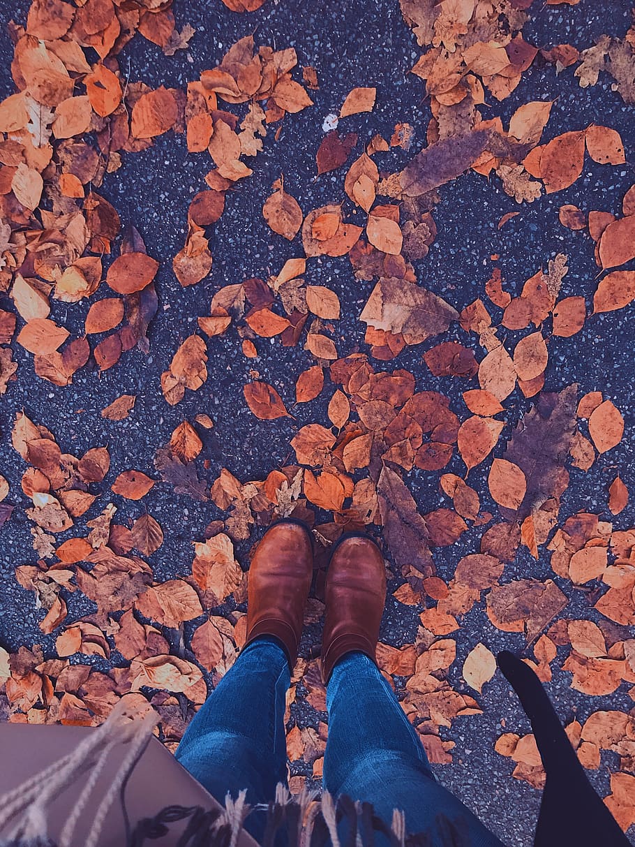 leaves, fall, brown, orange, low section, human leg, shoe, body part HD wallpaper