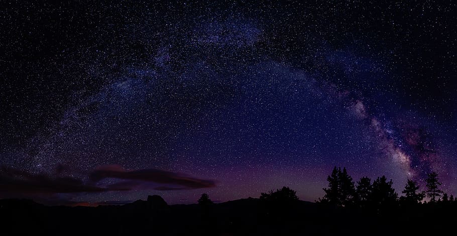 nature, trees, silhouette, night, sky, stars, star - space HD wallpaper
