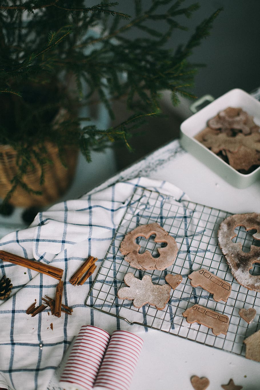 Cutout Gingerbread Man Cookie, food, pastry, tree, food and drink HD wallpaper