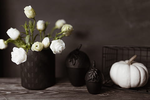 Dark mood home decorations, flowers, pumpkin, halloween, white pumpkin HD wallpaper