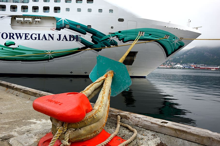 ship, bug, create, dew, cruise ship, travel, water, nautical vessel HD wallpaper