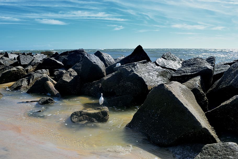jetty, ocean, rocks, egret, bird, seascape, nature, landscape HD wallpaper