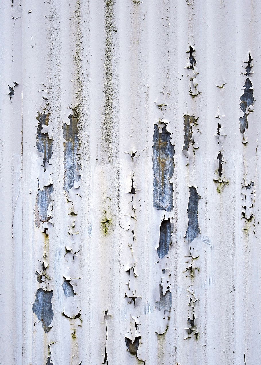 wall, texture, rug, home decor, door, stain, wood, plant, tree HD wallpaper