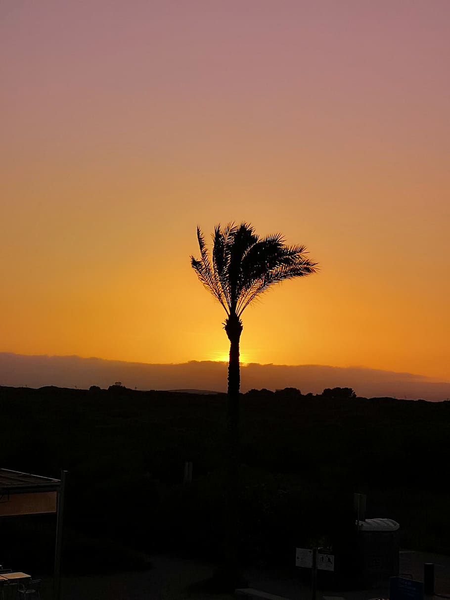 spain, castelldefels, sunset, beach, sky, silhouette, beauty in nature HD wallpaper