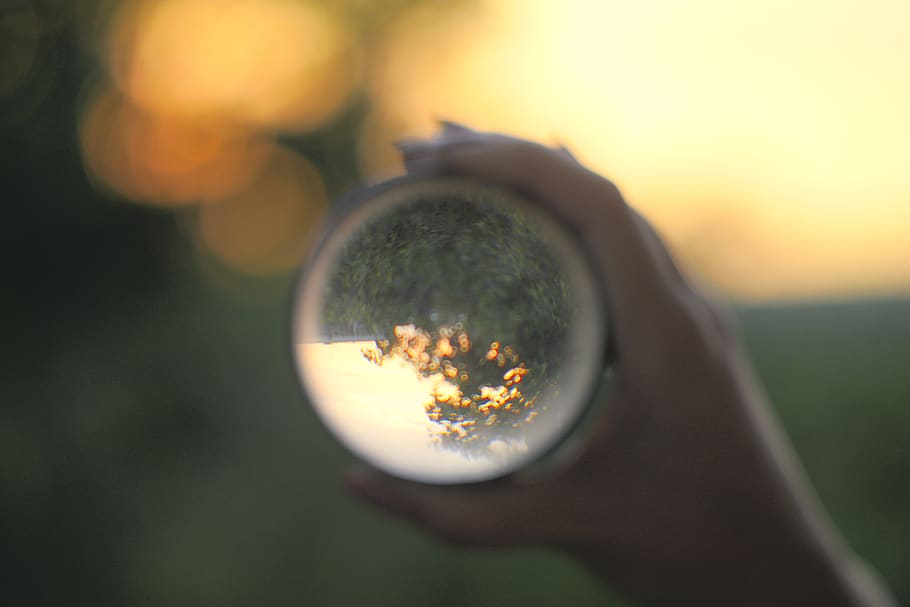lens, bokeh, blur, focus, hang, plant, nature, human body part HD wallpaper