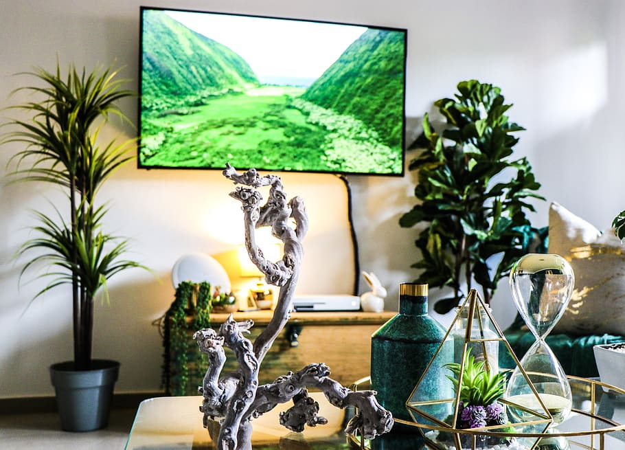 turned-on flat screen TV on white surface, plant, indoors, table HD wallpaper