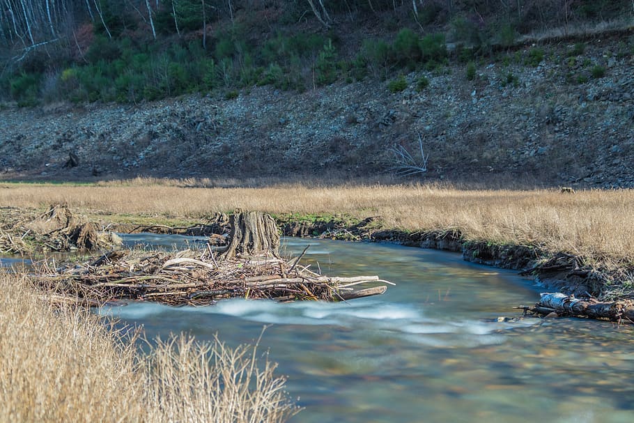 river, creek, water, dam, woods, forest, park, nature, long exposure HD wallpaper