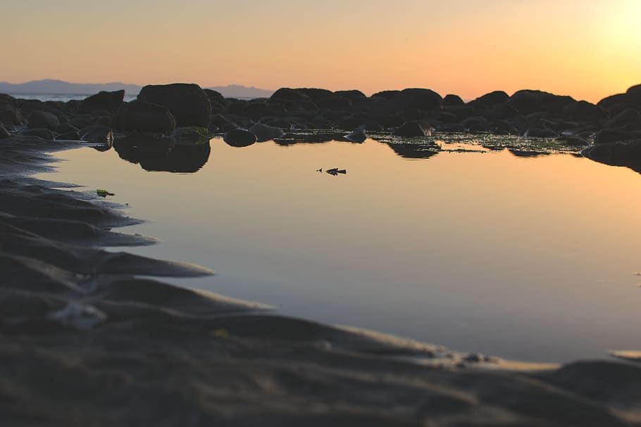 canada, vancouver, ocean, beach, sea, water, sunset, orange HD wallpaper
