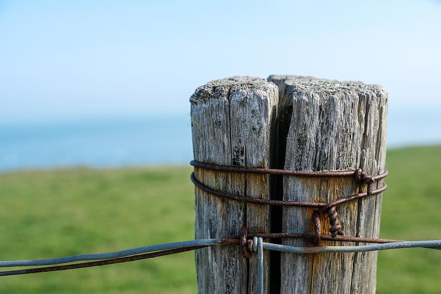 picket, post, pole, wire, seaside, fence, rural, wood - material HD wallpaper