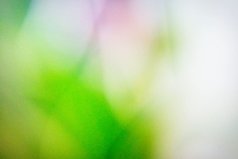 green color, defocused, abstract, backgrounds, multi colored HD wallpaper