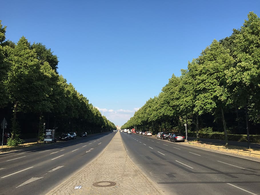germany, berlin, avenue, trees, street, road, transportation HD wallpaper