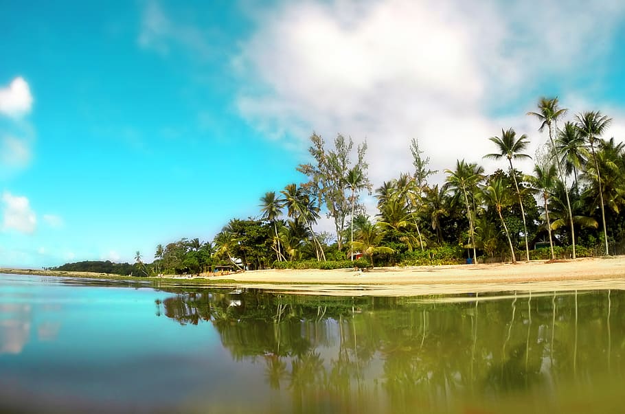 Person Taking Photo of Green Leafed Tree Lot With Sand Bar, clouds HD wallpaper