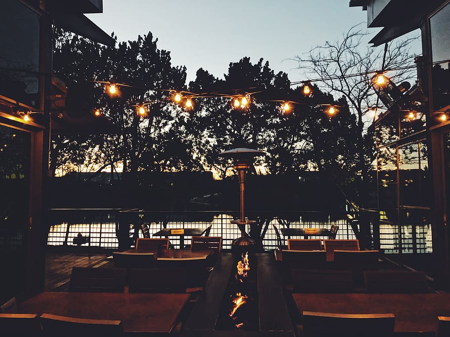 sunset, lights, romantic, illuminated, lighting equipment, tree HD wallpaper