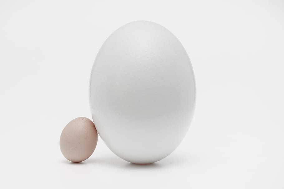two white eggs, food, easter egg, medication, pill, oval, wallpaper, HD wallpaper