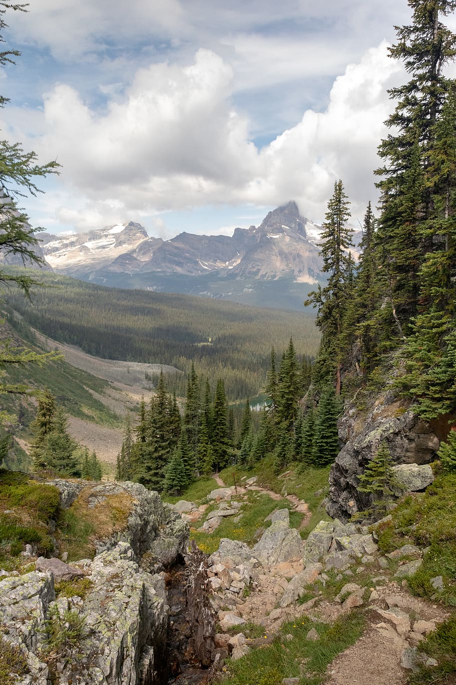 trees, lake, forest, trail, mountain, hiking, sky, cloud - sky HD wallpaper