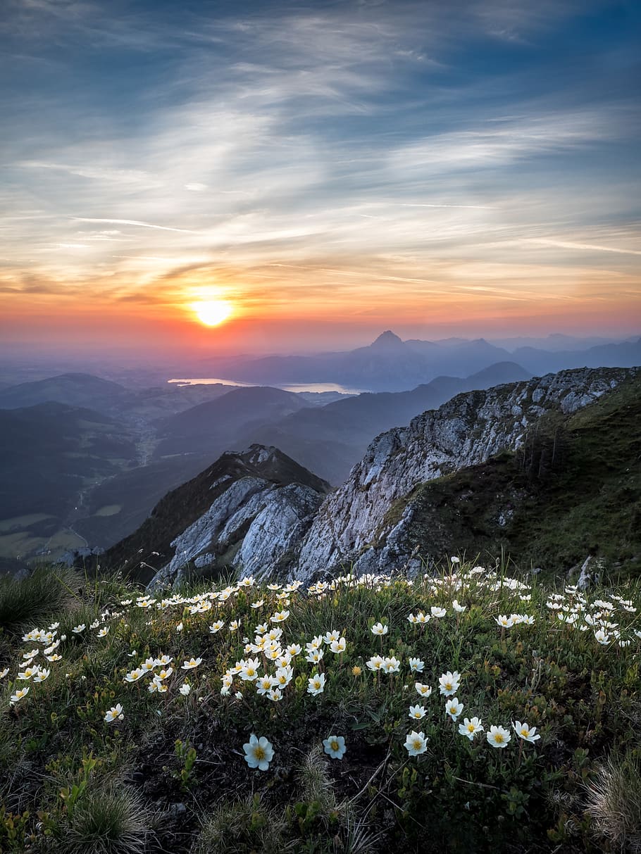 Scenic View of Mountains During Dawn, 4k wallpaper, beautiful flowers