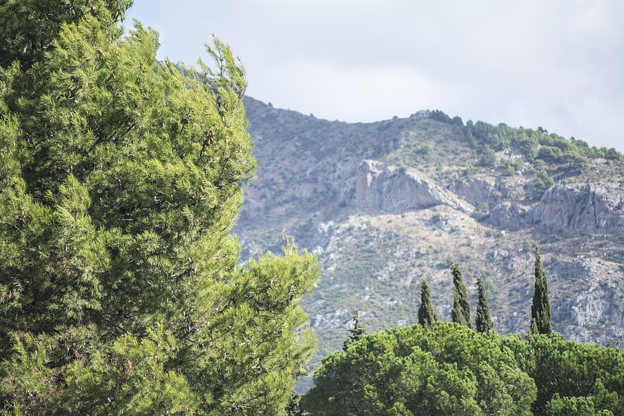 spain, yunquera, mountain, mountain range, trees, mountain chain HD wallpaper