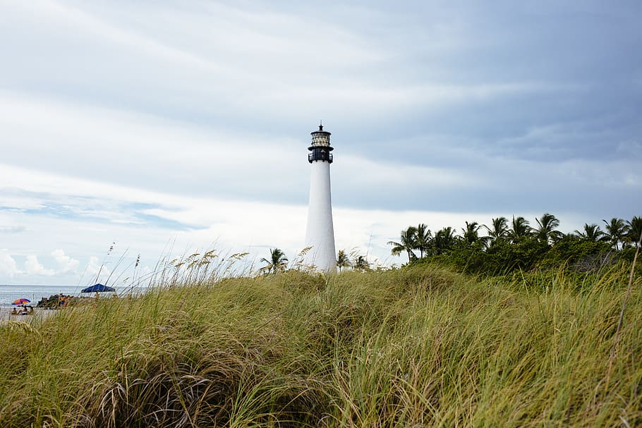 lighthouse, colors, beach, sky, plant, tower, architecture HD wallpaper