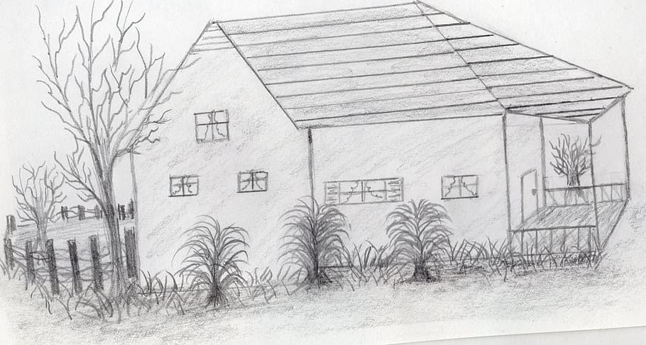 drawing, art, house, tree, outside, sketch, architecture, plant HD wallpaper