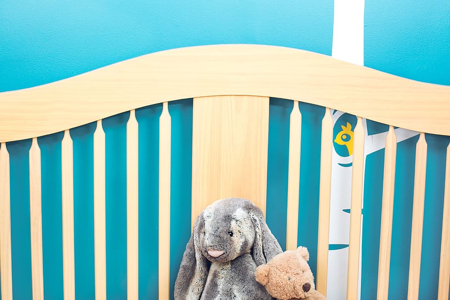 Baby Nursery Crib Design Photo, Home, Room, Home decor, mammal, HD wallpaper