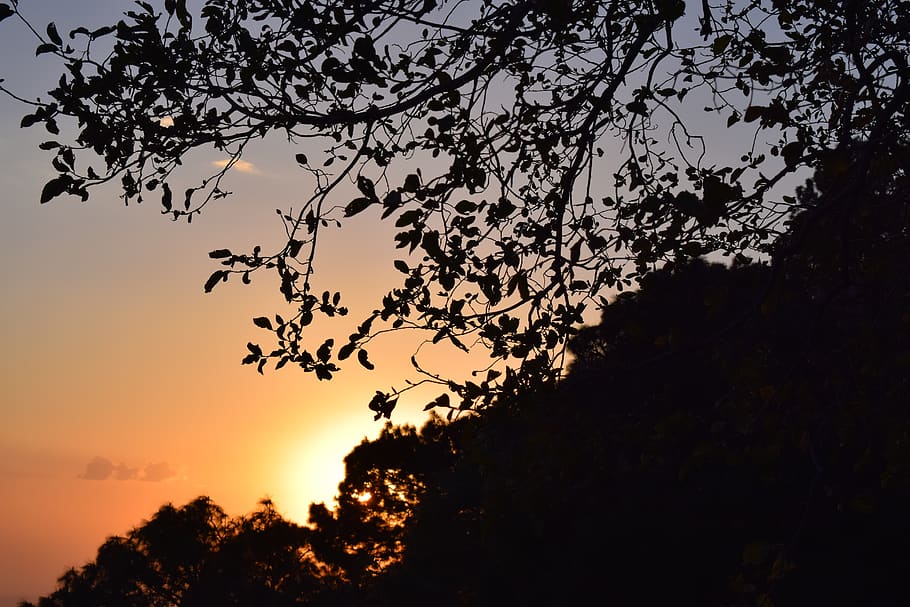 sunset, nature, mountains, tree, sky, silhouette, beauty in nature HD wallpaper