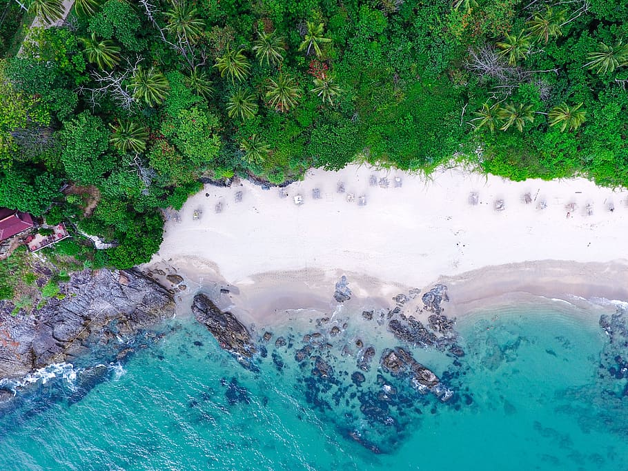 bird's eye view photography of seashore, drone view, aerial view