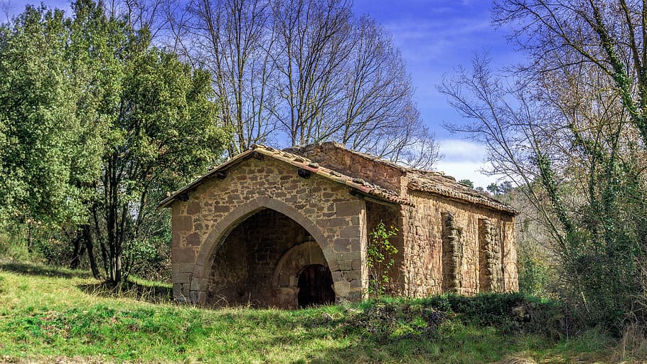 temple, hermitage, architecture, tree, house, lawn, landscape, HD wallpaper