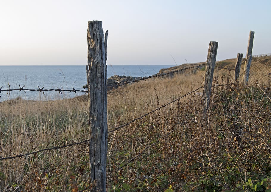 fence posts, barbed wire, weathered, sea, seascape, summer, HD wallpaper