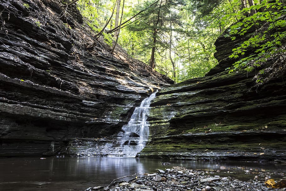 Waterfalls, flowing, forest, HD wallpaper, idyllic, landscape HD wallpaper