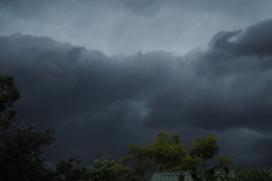 storm, dark, cloud - sky, tree, plant, beauty in nature, scenics - nature HD wallpaper